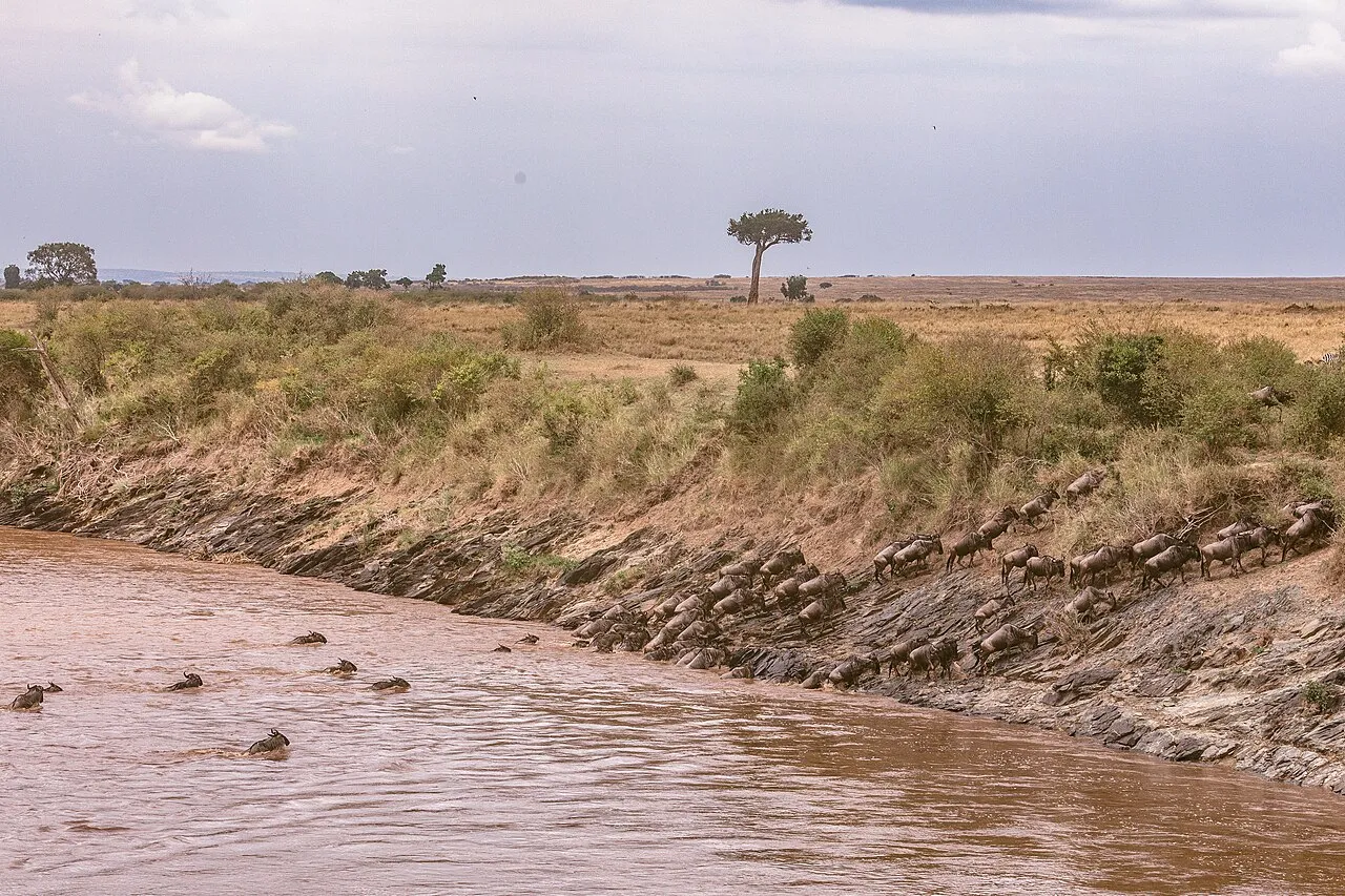 This is an image with the theme " Rites and Rituals " from: