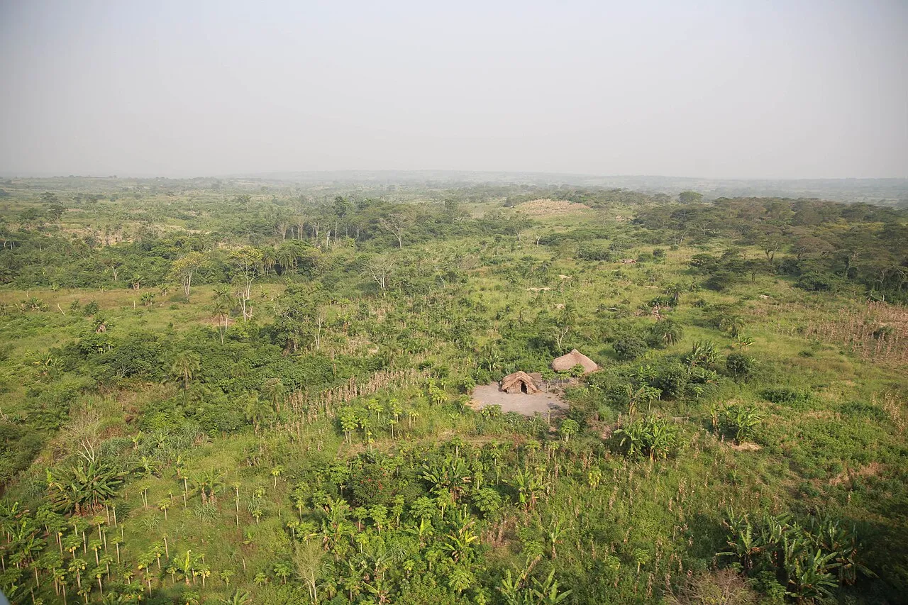 photo MONUSCO / Abel Kavanagh