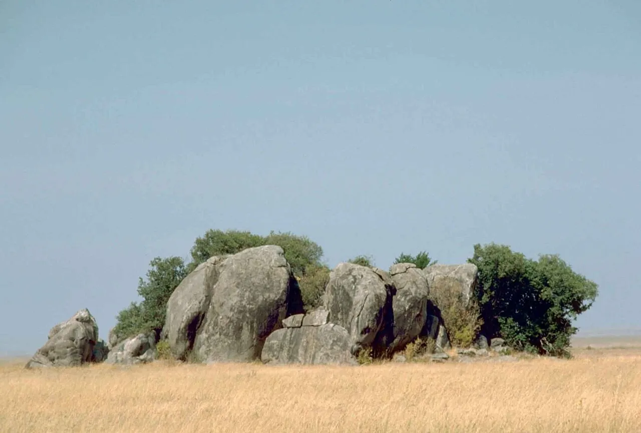 Serengeti National Park: the complete safari guide