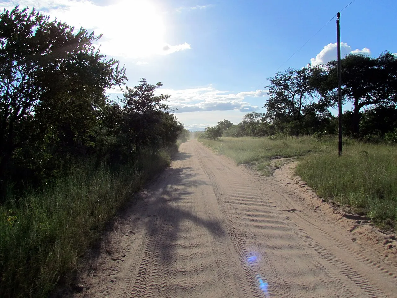 Wildlife and game drives near Sarova Stanley in Nairobi National Park
