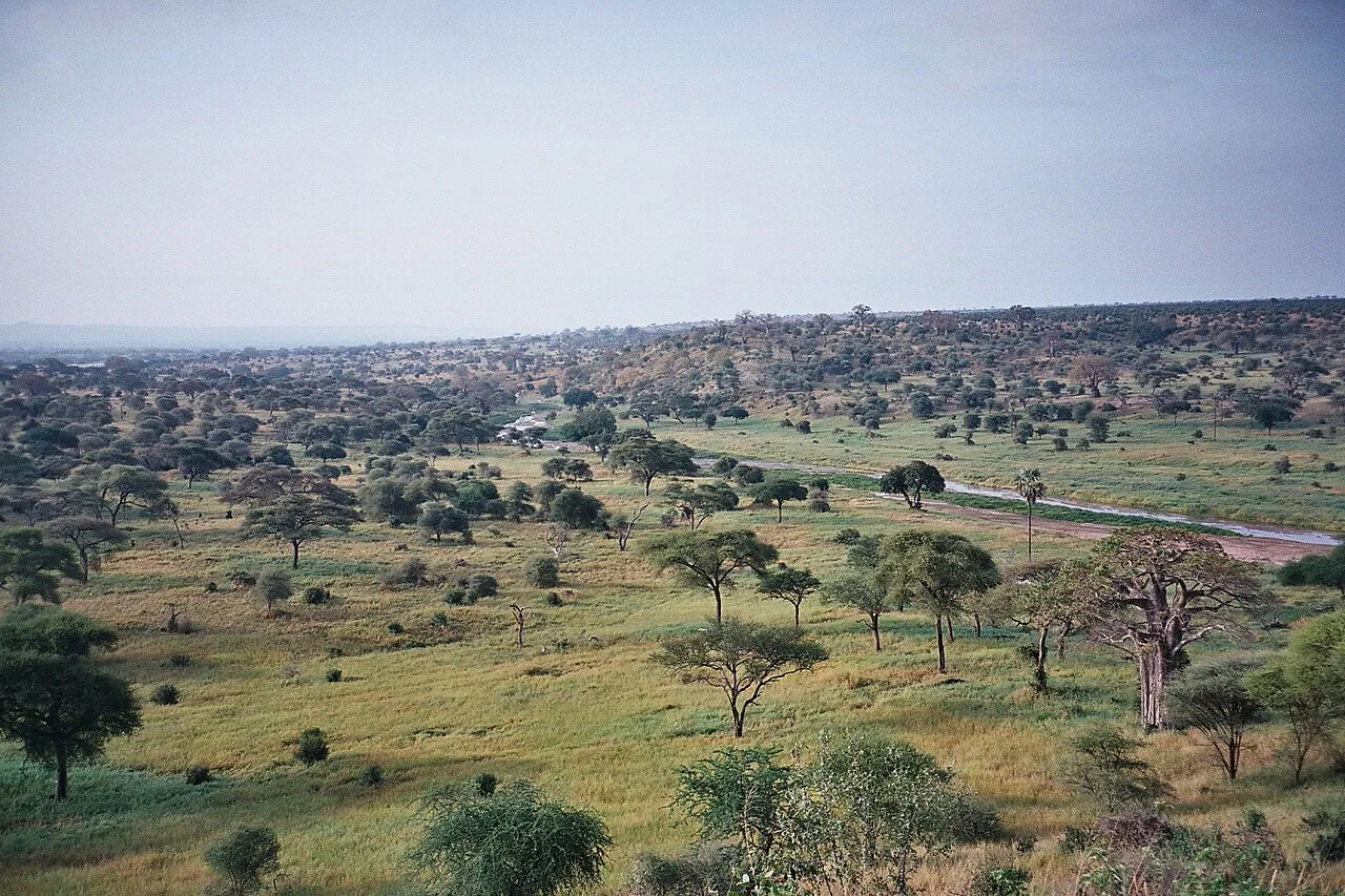 Days one and two: Stone Town: Tarangire river