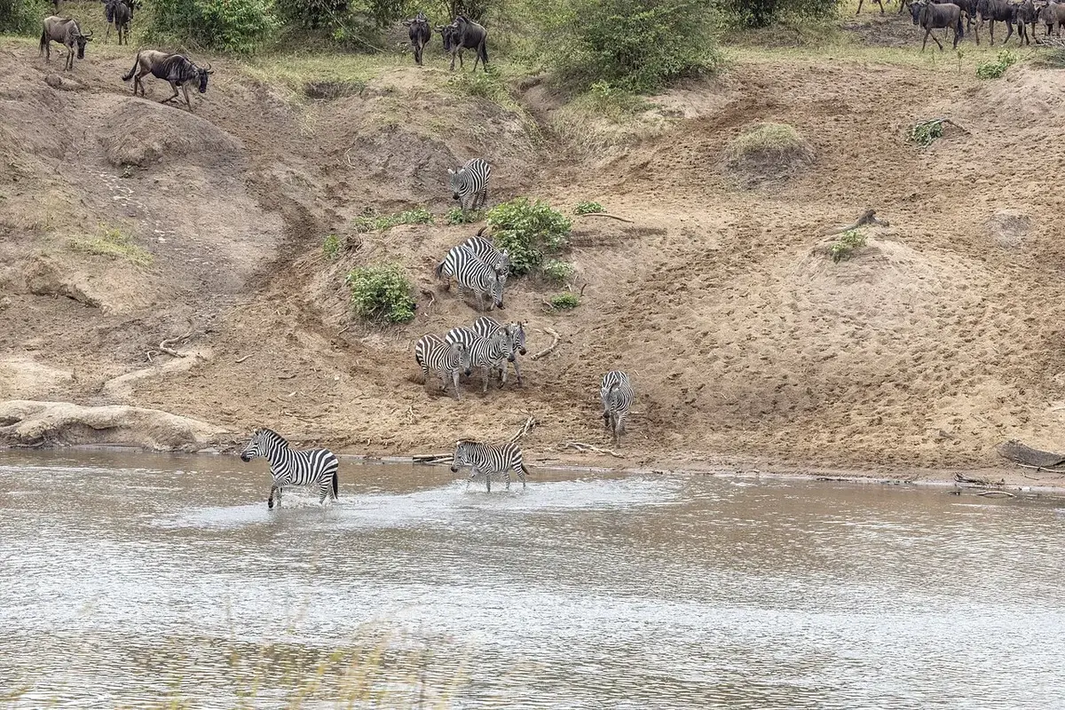 Sabyinyo Silverback Lodge on day 6 of Maasai Mara & Rwanda: Big Cat Plains to Gorilla Forests