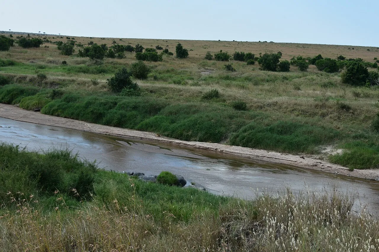 Serengeti landscape (3)