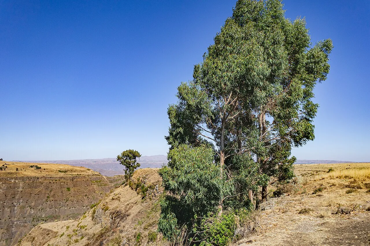 Sheno, Ethiopia About 75 km northeast from Addis Abeba