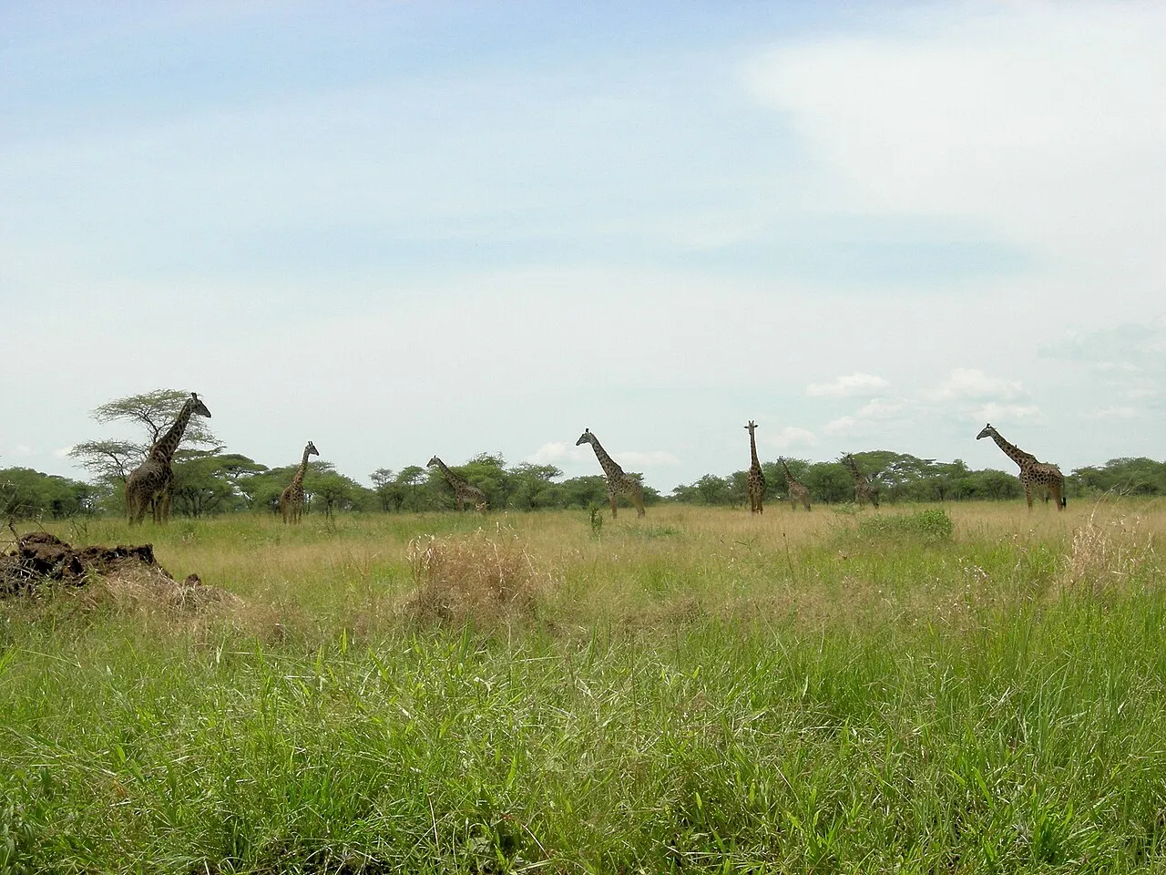 Serengeti National Park