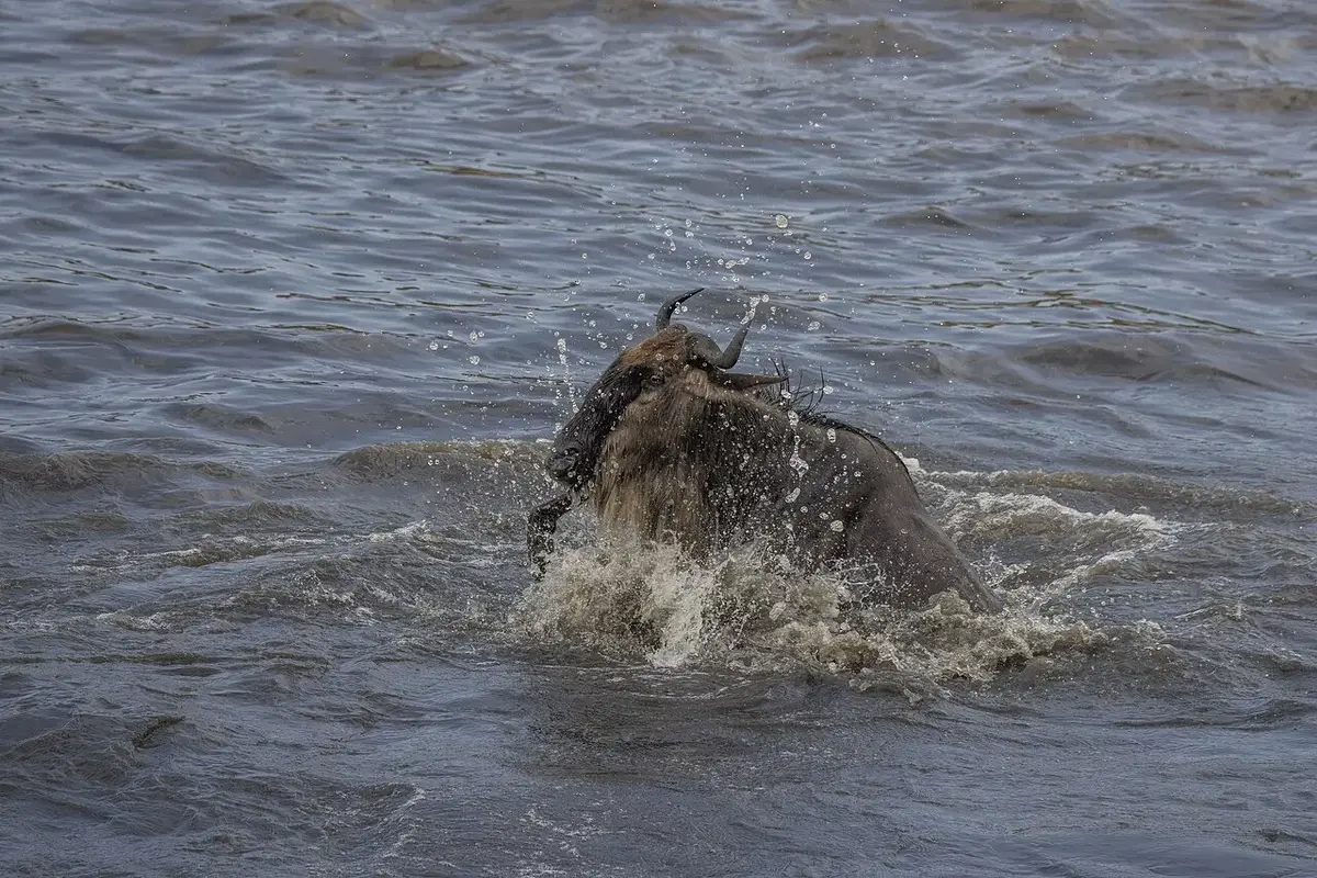 Sabyinyo Silverback Lodge on day 7 of Maasai Mara & Rwanda: Big Cat Plains to Gorilla Forests