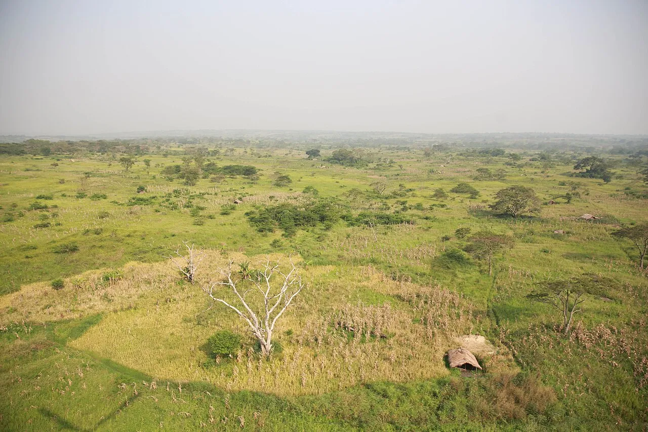 photo MONUSCO / Abel Kavanagh