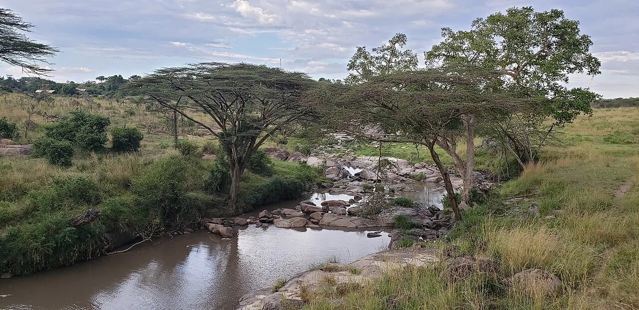 The main cost drivers: Grumeti River with hippos - Migration Camp