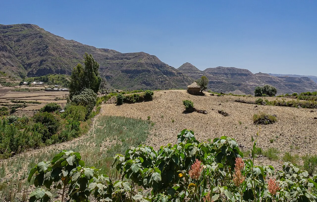 Sheno, Ethiopia