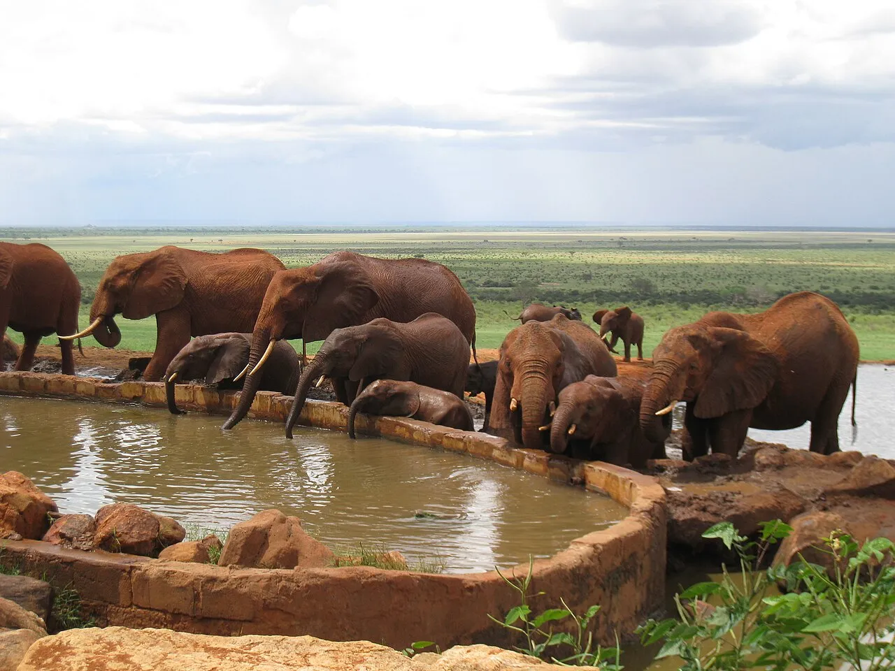 I look at the red elephant from the Voi Safari Lodge.