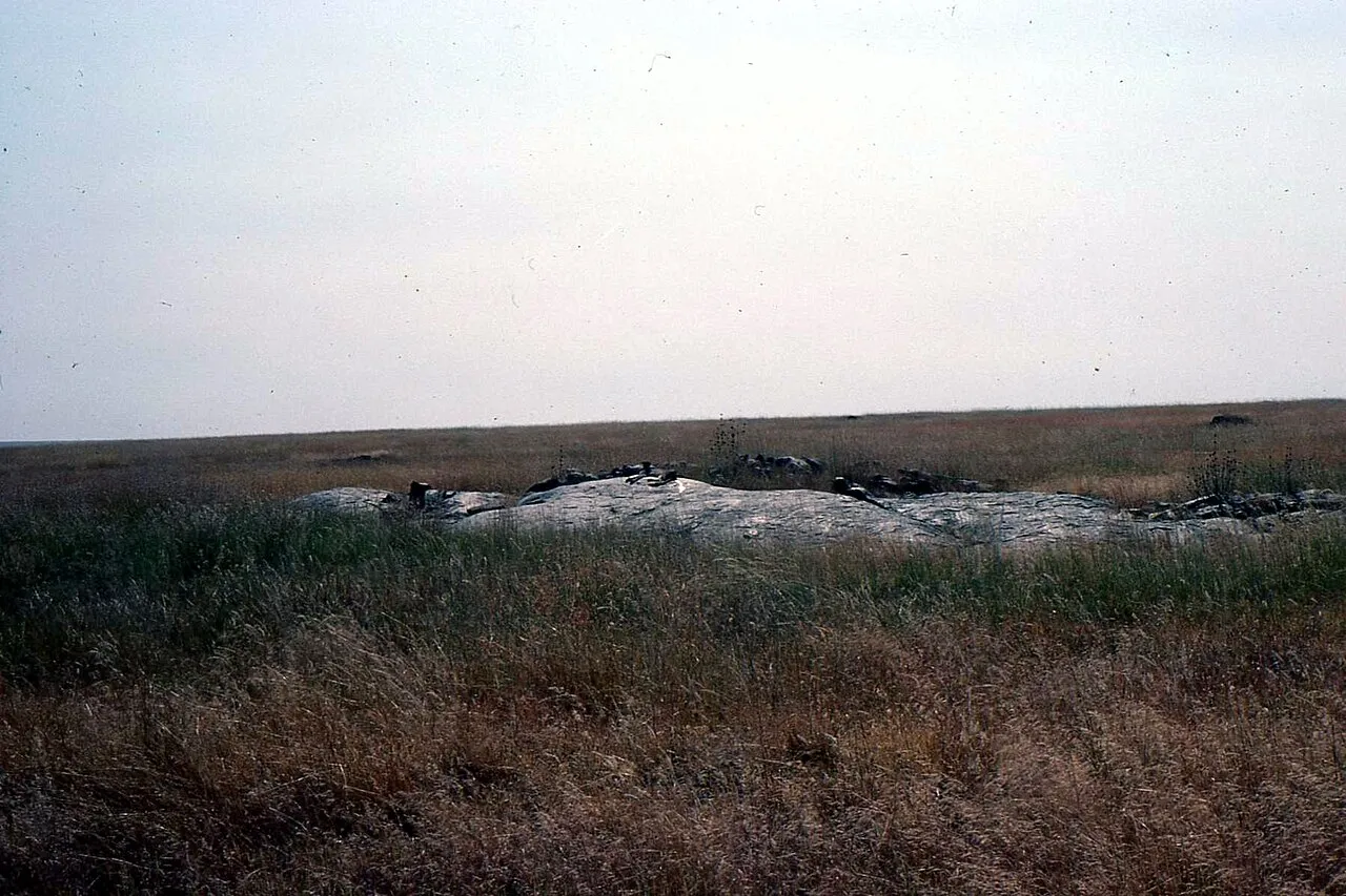 Serengeti