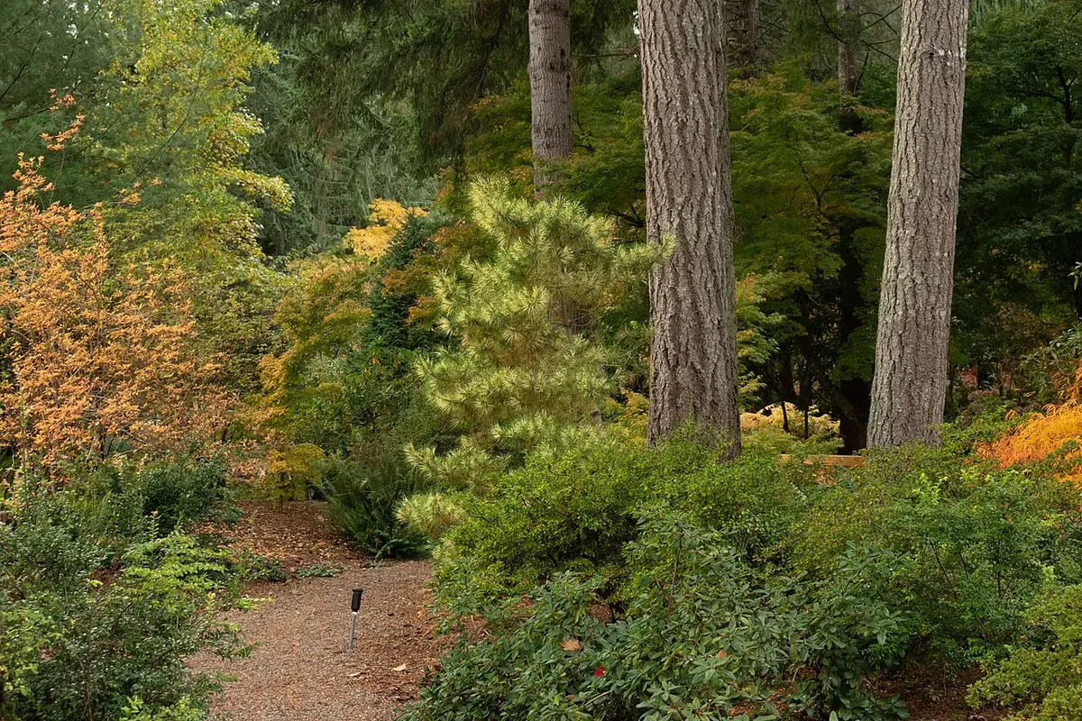 Lake Wilderness Arboretum in Maple Valley, Washington.