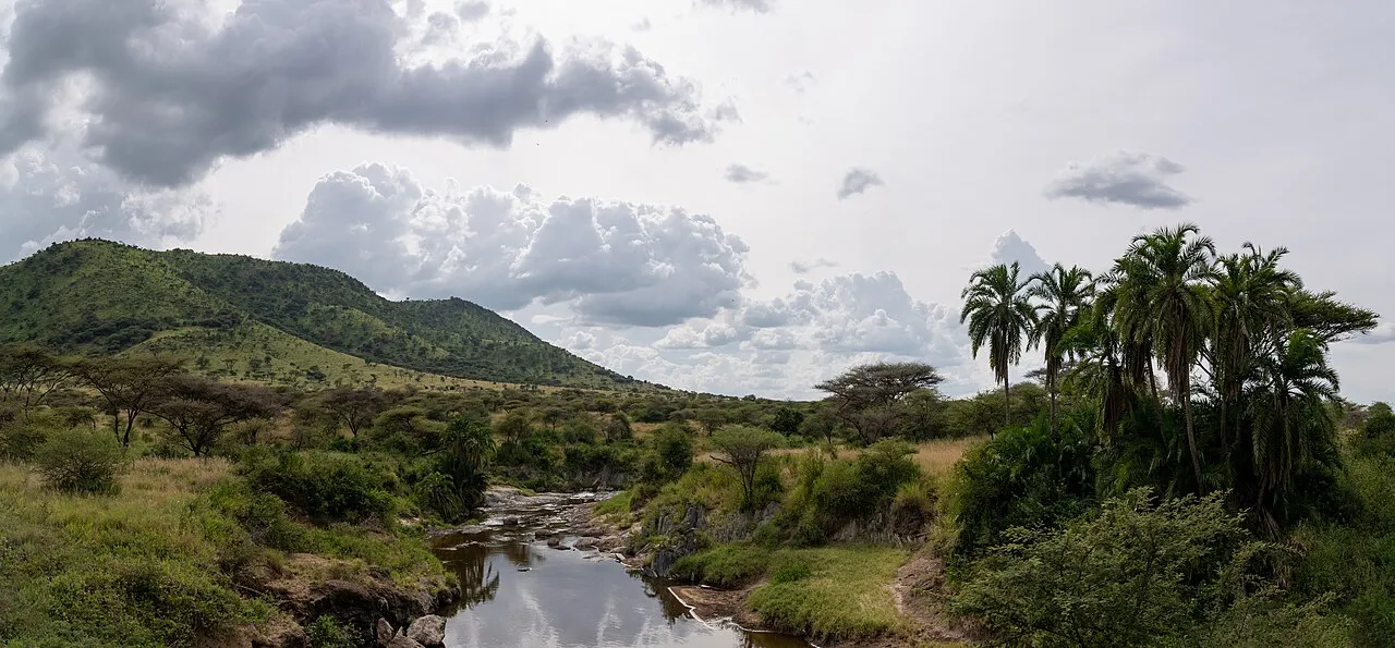 Oasis in the Serengeti