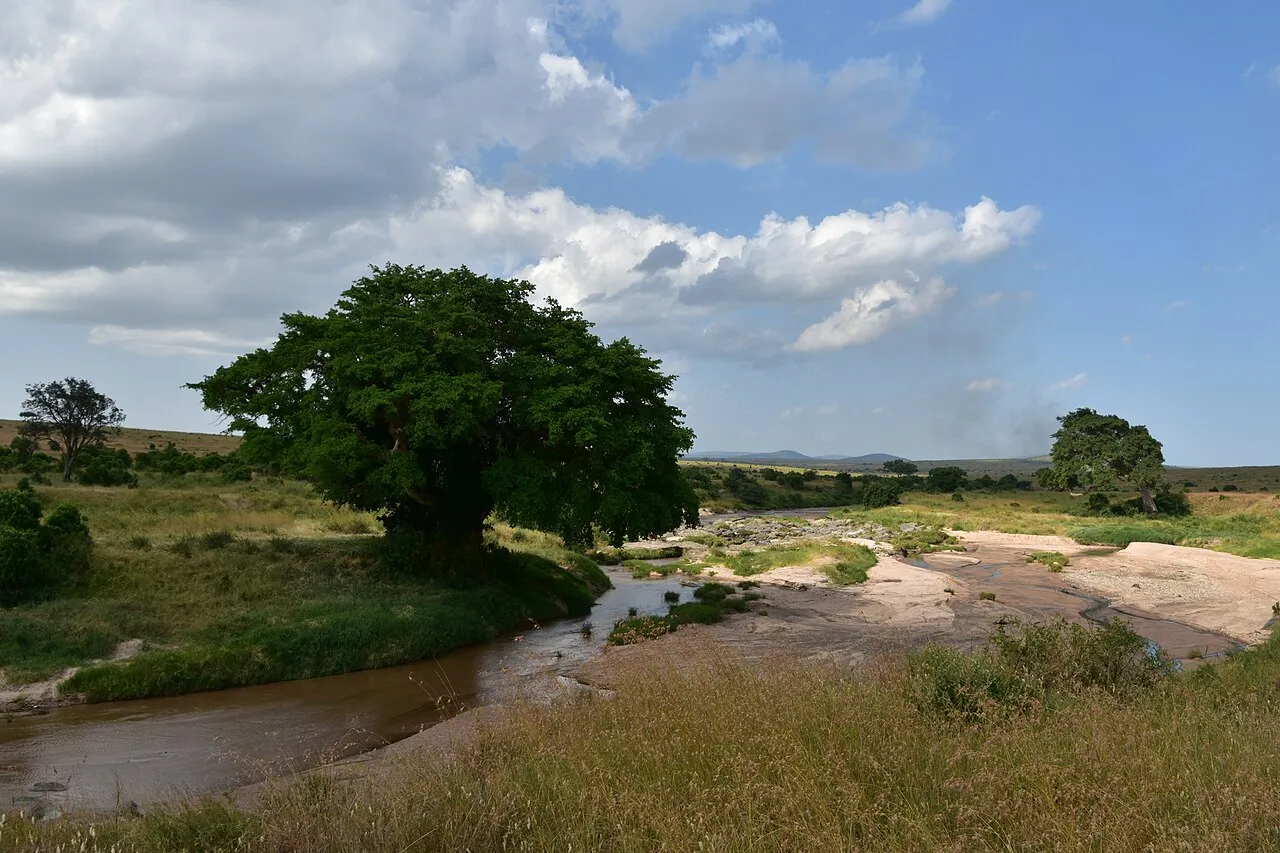 Serengeti landscape (4)