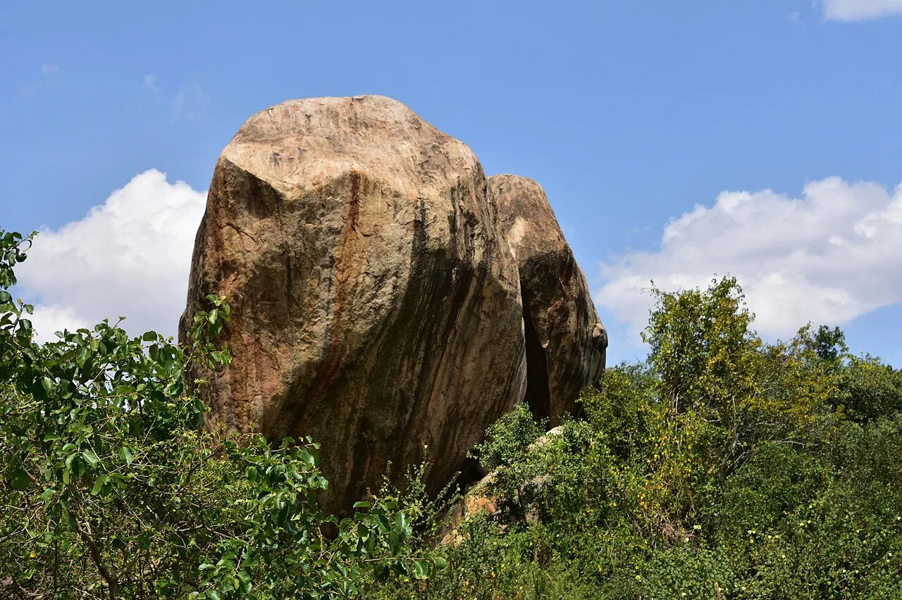 Serengeti landscape (9)