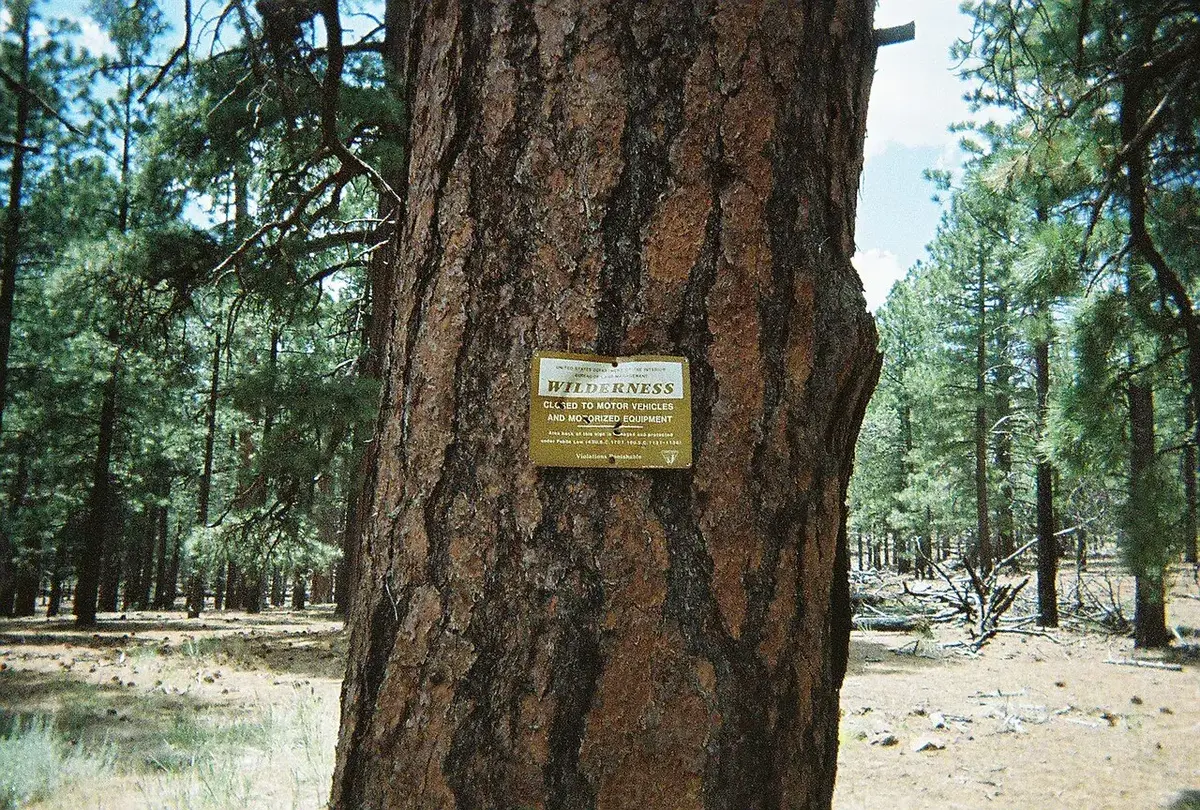 Wilderness sign in the Mount Logan Wilderness
