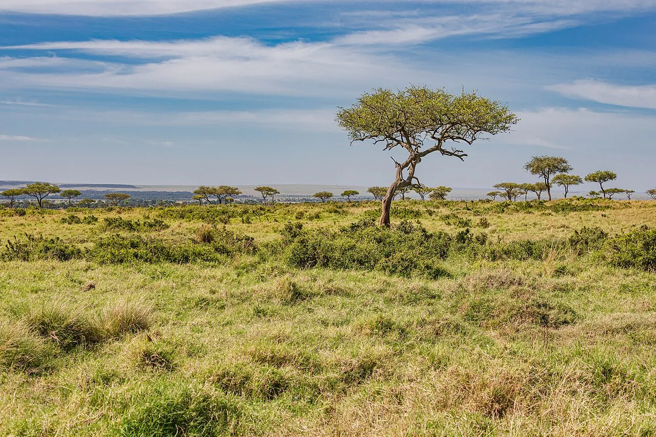 Kenyan landscape