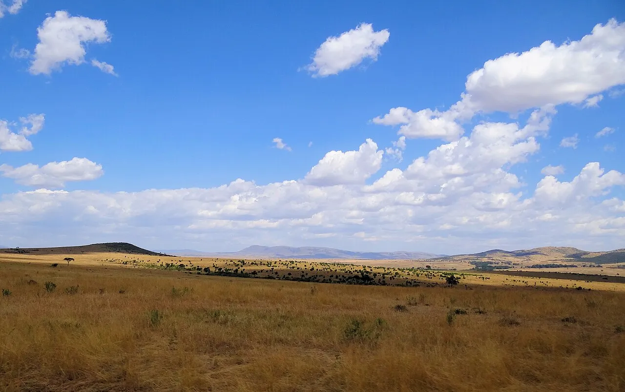 A landscape typical of the Maasai Mara; wide plains dotted with vegetation and hills here and there.