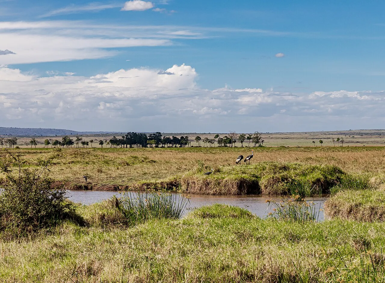 Kenyan landscape
